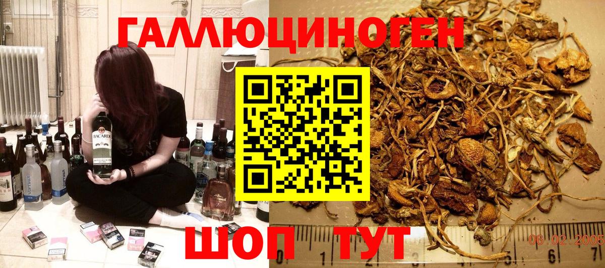 где можно купить наркотик  Вход с VPN  Ревда  Псилоцибиновые грибы мицелий 