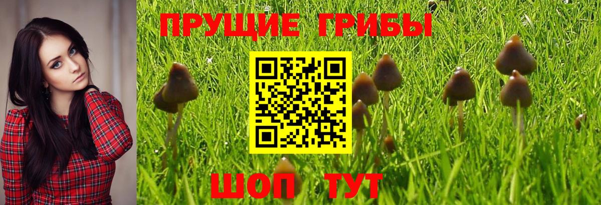 Cocaine  Канабис  Вход с VPN  Меф МЯУ МЯУ  НБОМе  Ревда  ГАШИШ  Меф МЯУ МЯУ кристаллы  Гашиш 
